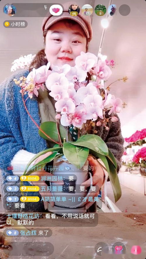 传统企业密集试水线上销售 中国花卉园艺 2020年7期专题